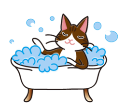 Cat zoo Volume2 sticker #3722459