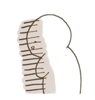 oshirikun+ sticker #3724434