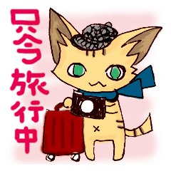 Travel cat