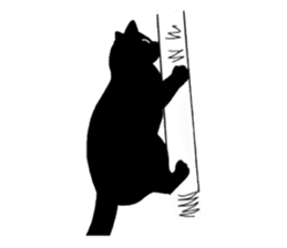 Of a black cat, freely, the landscape sticker #3729332