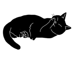 Of a black cat, freely, the landscape sticker #3729337