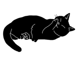 Of a black cat, freely, the landscape sticker #3729337