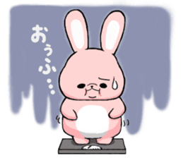 Daily Rabbit pote sticker #3729524