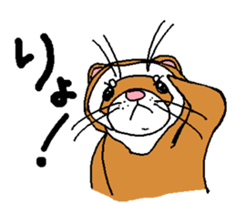 Ferret Maychan2 sticker #3729715