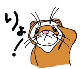 Ferret Maychan2 sticker #3729715