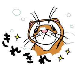 Ferret Maychan2 sticker #3729716