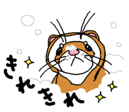 Ferret Maychan2 sticker #3729716