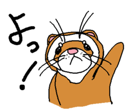 Ferret Maychan2 sticker #3729724