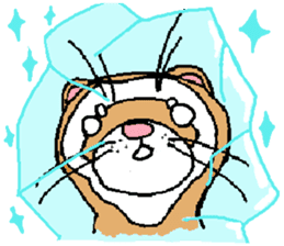Ferret Maychan2 sticker #3729726