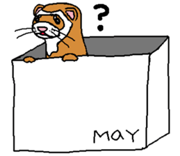 Ferret Maychan2 sticker #3729730