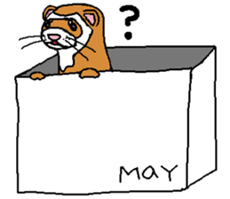 Ferret Maychan2 sticker #3729730