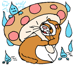 Ferret Maychan2 sticker #3729737