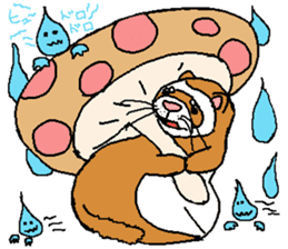 Ferret Maychan2 sticker #3729737