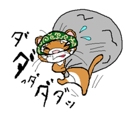 Ferret Maychan2 sticker #3729738