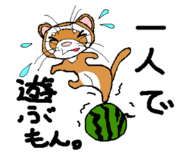 Ferret Maychan2 sticker #3729741