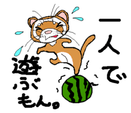 Ferret Maychan2 sticker #3729741