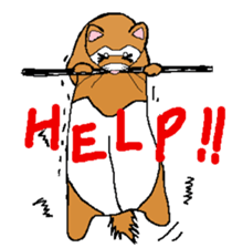 Ferret Maychan2 sticker #3729744