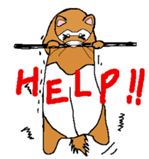 Ferret Maychan2 sticker #3729744