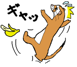 Ferret Maychan2 sticker #3729745