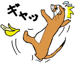 Ferret Maychan2 sticker #3729745