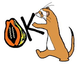 Ferret Maychan2 sticker #3729747