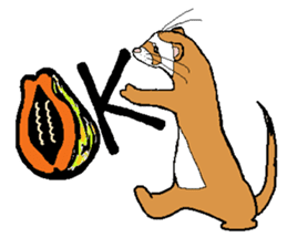 Ferret Maychan2 sticker #3729747