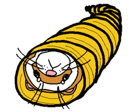 Ferret Maychan2 sticker #3729748