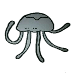 jellyfish festival