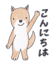 Choco-chan of the Shiba Inu sticker #3731751