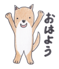 Choco-chan of the Shiba Inu sticker #3731752