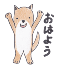 Choco-chan of the Shiba Inu sticker #3731752