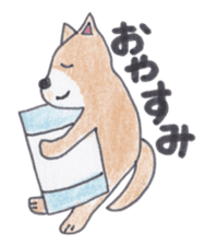 Choco-chan of the Shiba Inu sticker #3731753
