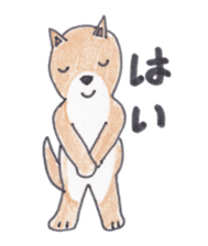 Choco-chan of the Shiba Inu sticker #3731755