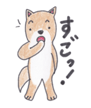 Choco-chan of the Shiba Inu sticker #3731758