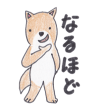Choco-chan of the Shiba Inu sticker #3731759