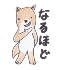 Choco-chan of the Shiba Inu sticker #3731759