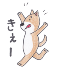 Choco-chan of the Shiba Inu sticker #3731761