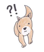 Choco-chan of the Shiba Inu sticker #3731762