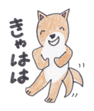 Choco-chan of the Shiba Inu sticker #3731763