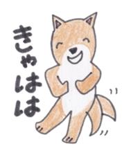 Choco-chan of the Shiba Inu sticker #3731763