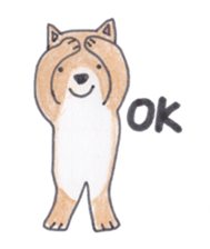 Choco-chan of the Shiba Inu sticker #3731764