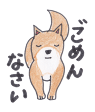 Choco-chan of the Shiba Inu sticker #3731767