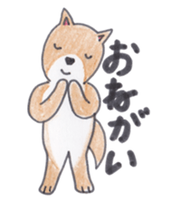 Choco-chan of the Shiba Inu sticker #3731772