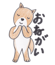 Choco-chan of the Shiba Inu sticker #3731772