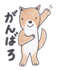 Choco-chan of the Shiba Inu sticker #3731773