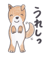 Choco-chan of the Shiba Inu sticker #3731775