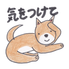 Choco-chan of the Shiba Inu sticker #3731778