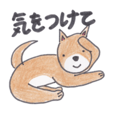 Choco-chan of the Shiba Inu sticker #3731778