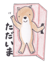 Choco-chan of the Shiba Inu sticker #3731779