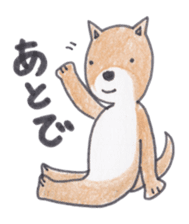 Choco-chan of the Shiba Inu sticker #3731788
